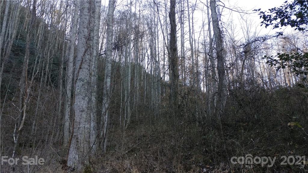 Lot at Sylva, photo 3 of 7
