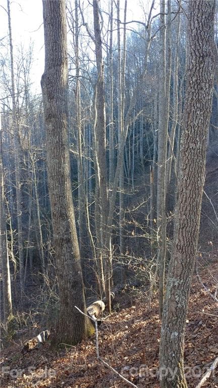 Lot at Sylva, photo 5 of 7