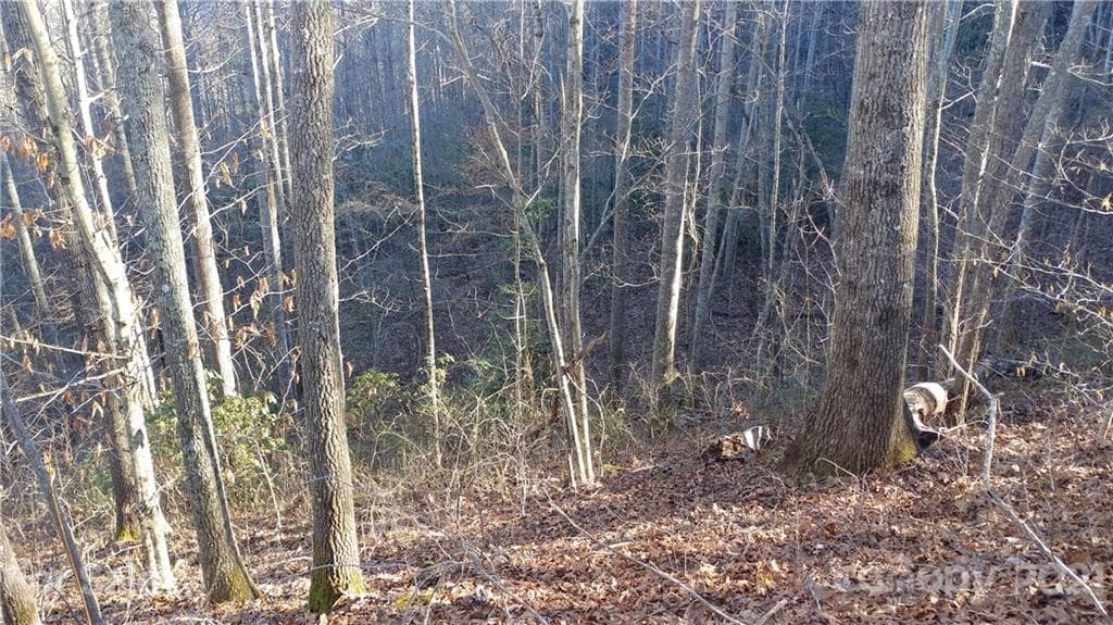 Lot at Sylva, photo 7 of 7