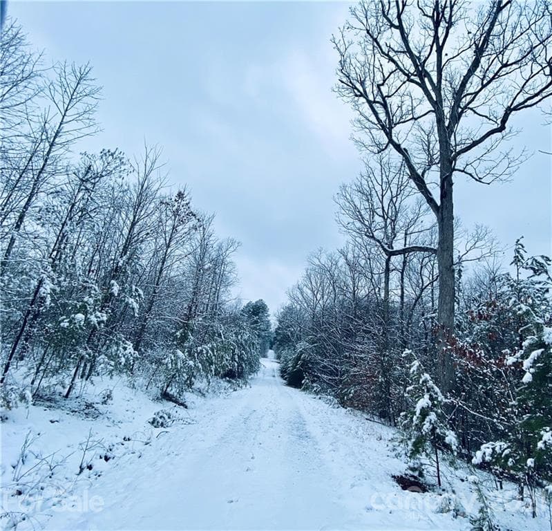 Acreage at Nebo, photo 26 of 32