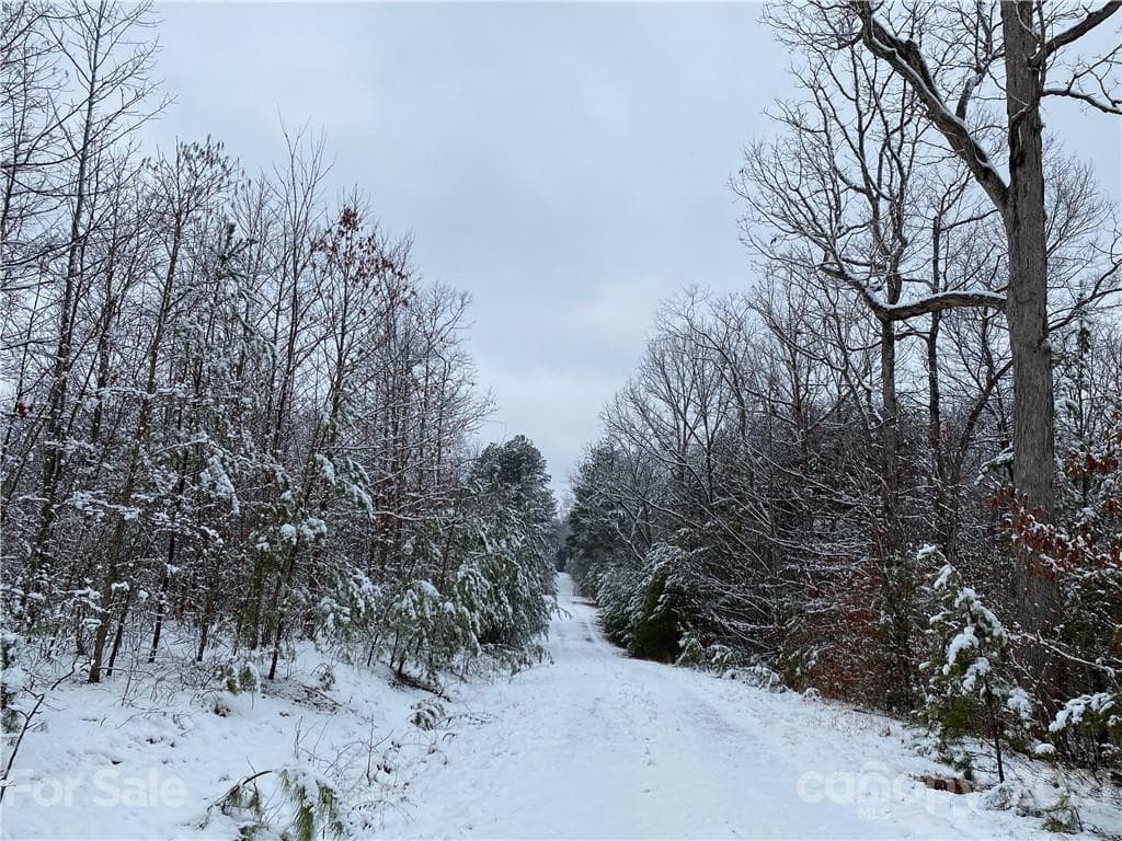 Acreage at Nebo, photo 25 of 32