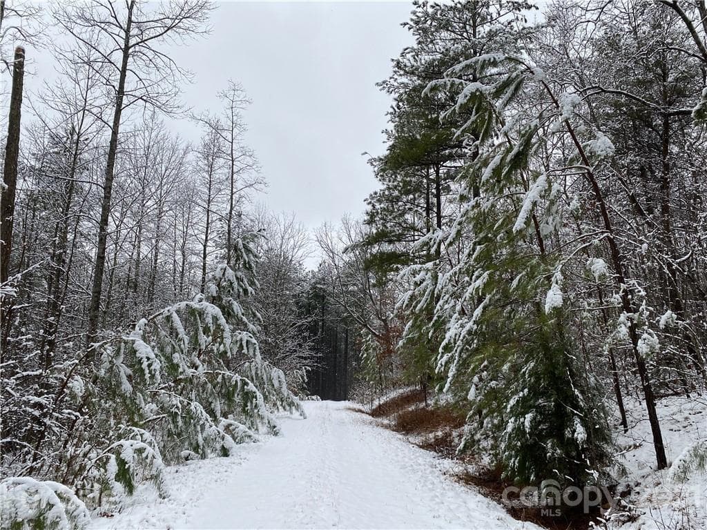Acreage at Nebo, photo 29 of 32