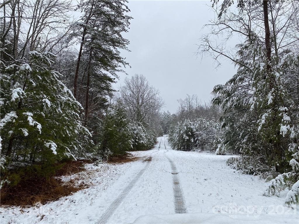 Acreage at Nebo, photo 30 of 32