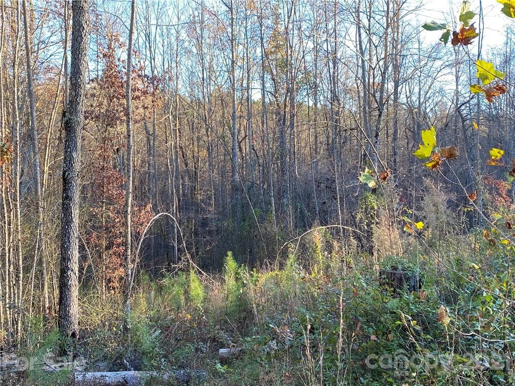 Acreage at Nebo, photo 15 of 32