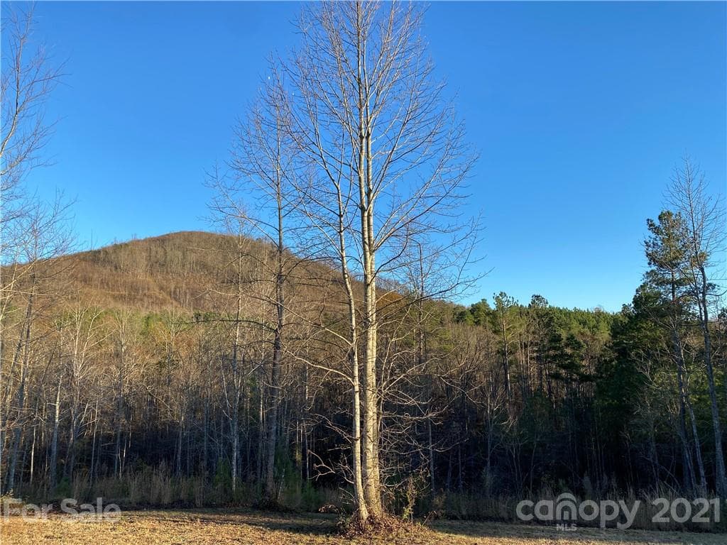 Acreage at Nebo, photo 12 of 32