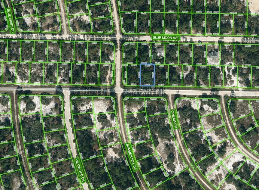 384 JACK WEISSER BLVD