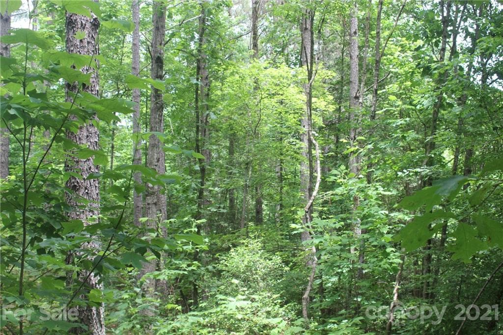 Lot at 2202 Island View Lane NE, Connelly Springs, photo 5 of 12