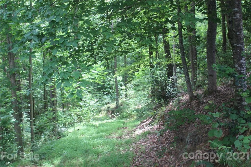 Lot at 2202 Island View Lane NE, Connelly Springs, photo 8 of 12