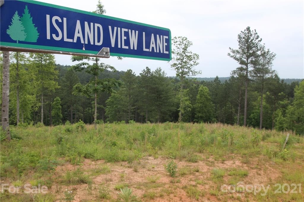 Lot at 2202 Island View Lane NE, Connelly Springs, photo 10 of 12