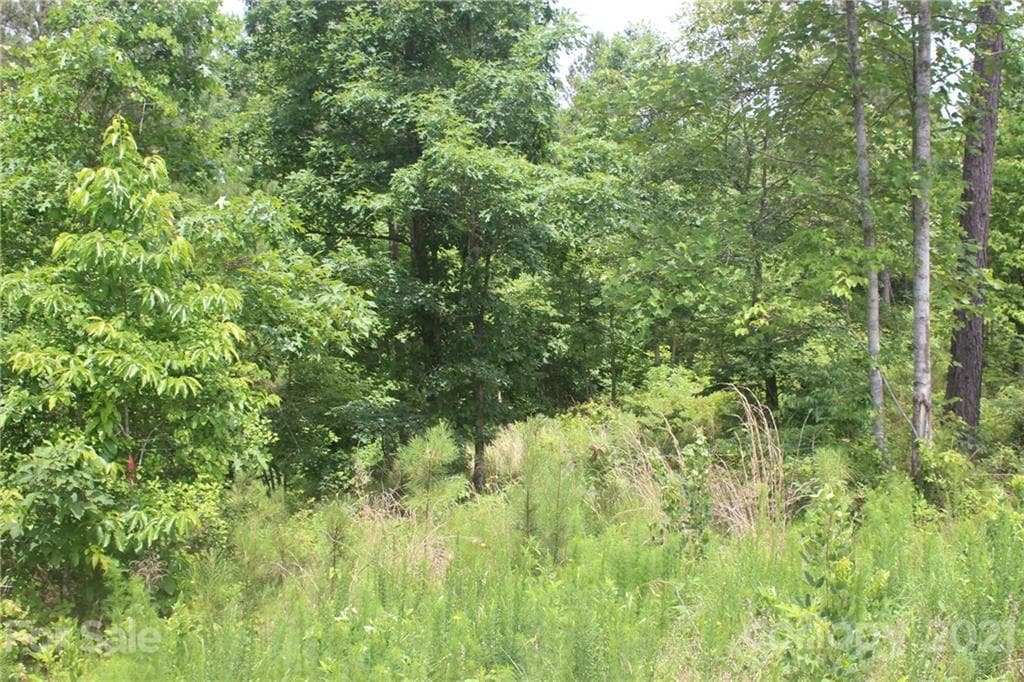 Lot at 1826 Lake Vista Drive NE, Connelly Springs, photo 2 of 9