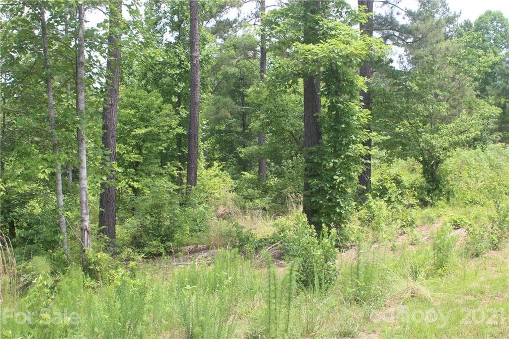 Lot at 1826 Lake Vista Drive NE, Connelly Springs, photo 5 of 9