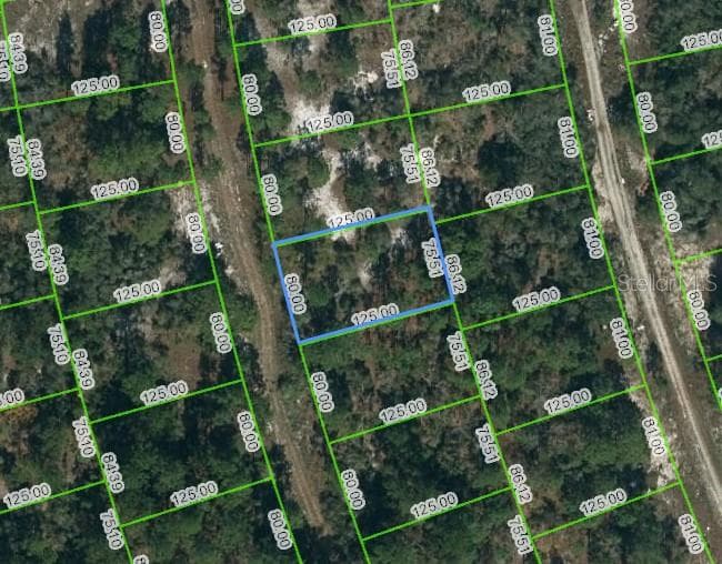 217 BLUE HORIZON DR