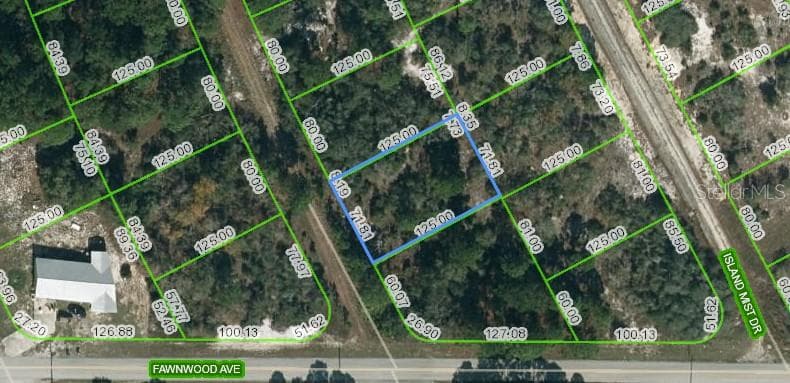 203 BLUE HORIZON DR