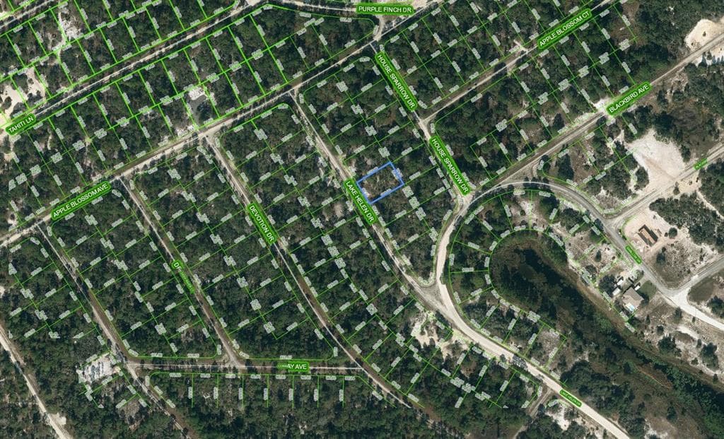 519 LAKE HELEN DR