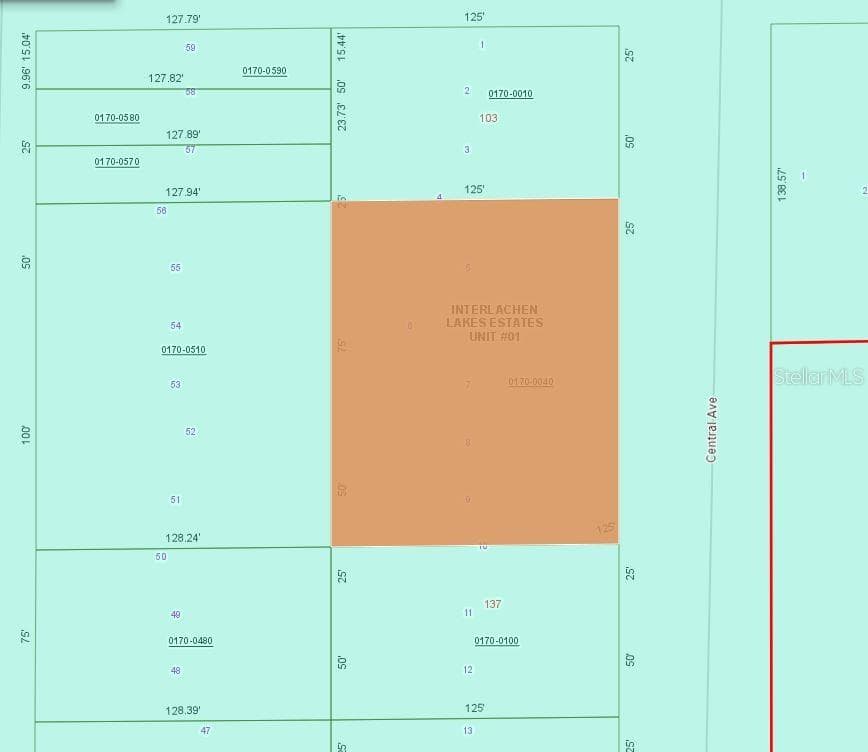 Land at 145 CENTRAL AVE, INTERLACHEN, photo 4 of 4