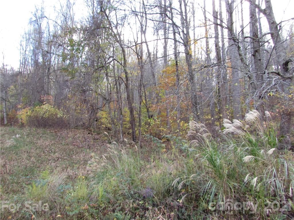 Lot at Mars Hill, photo 2 of 20