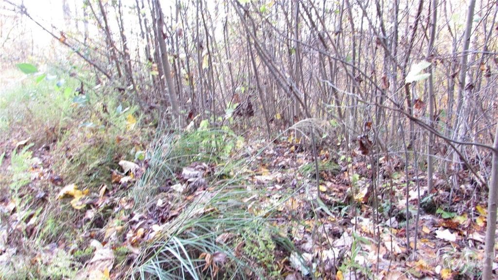 Lot at Mars Hill, photo 2 of 20