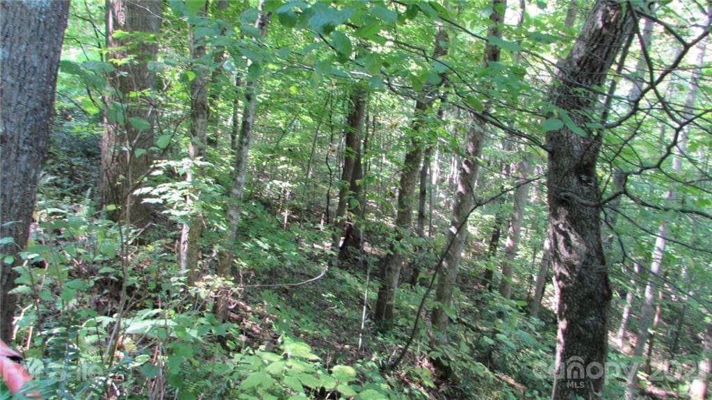 Lot at Mars Hill, photo 2 of 25