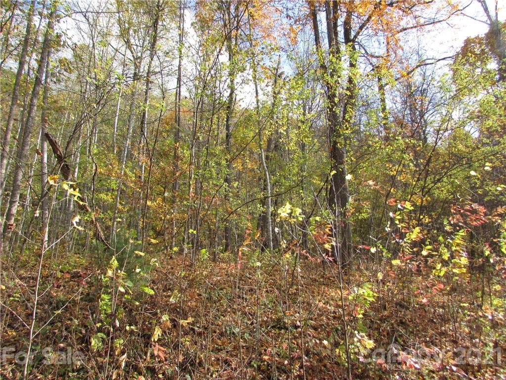Lot at Mars Hill, photo 2 of 20