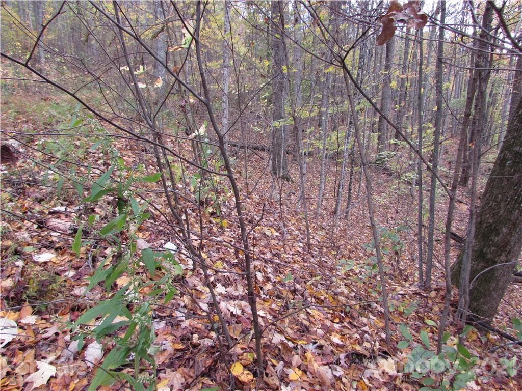 Lot at Mars Hill, photo 2 of 21