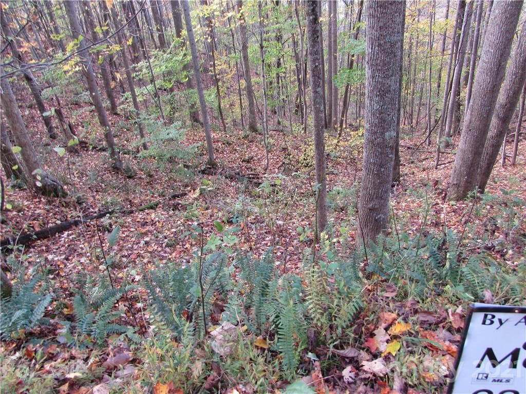 Lot at Mars Hill, photo 2 of 21