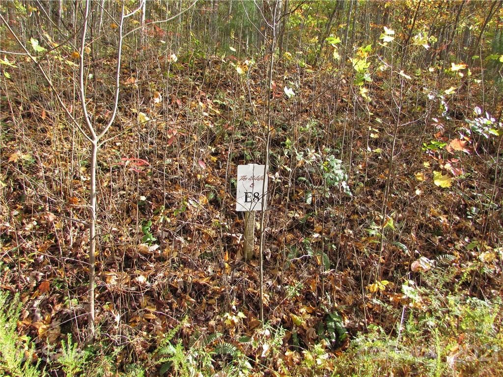 Lot at Mars Hill, photo 2 of 20