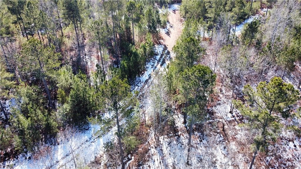 Acreage at 0 Hugh Champion Road, Tryon, photo 4 of 7