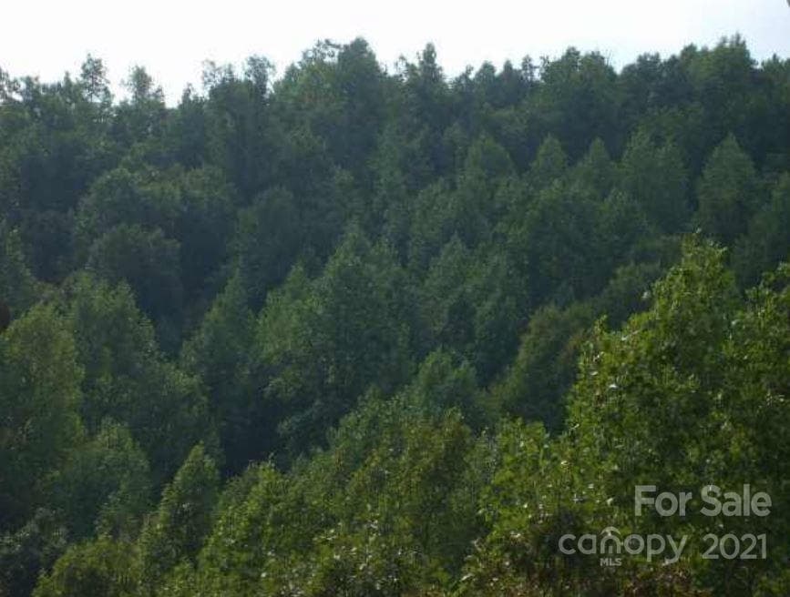 Acreage at 0 Highland Meadows Way, Lenoir, photo 3 of 5