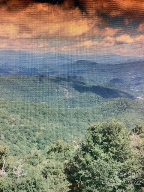 Lot at 00 Trillium Lane, Mars Hill, photo 2 of 21
