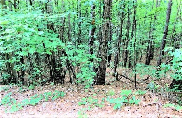 Lot at Rutherfordton, photo 2 of 16