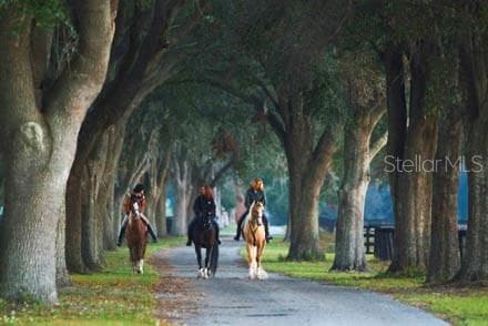 Land at 0 SE 8TH AVE, OCALA, photo 2 of 3