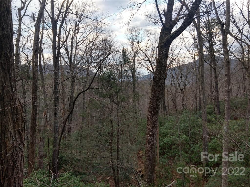 Lot at Lots 94 & 95 Rock Spring Road, Lake Lure, photo 2 of 10