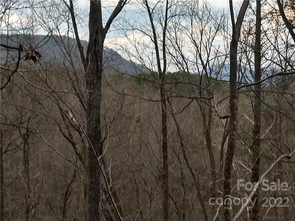 Lot at Lots 94 & 95 Rock Spring Road, Lake Lure, photo 3 of 10