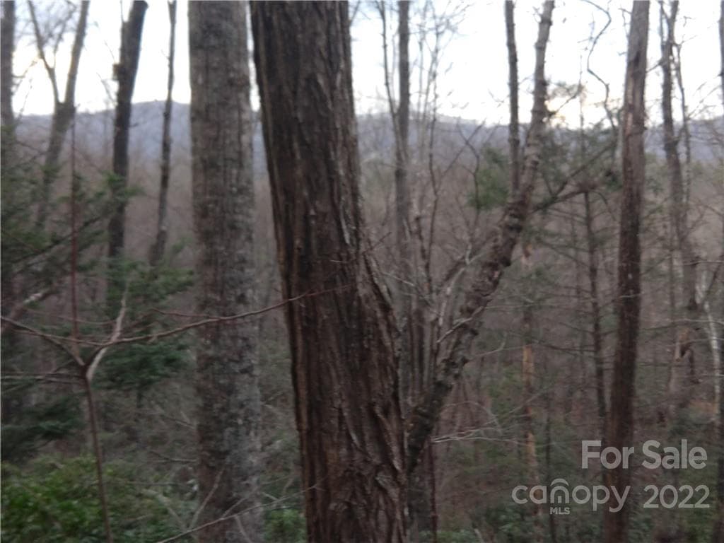 Lot at Lots 94 & 95 Rock Spring Road, Lake Lure, photo 4 of 10