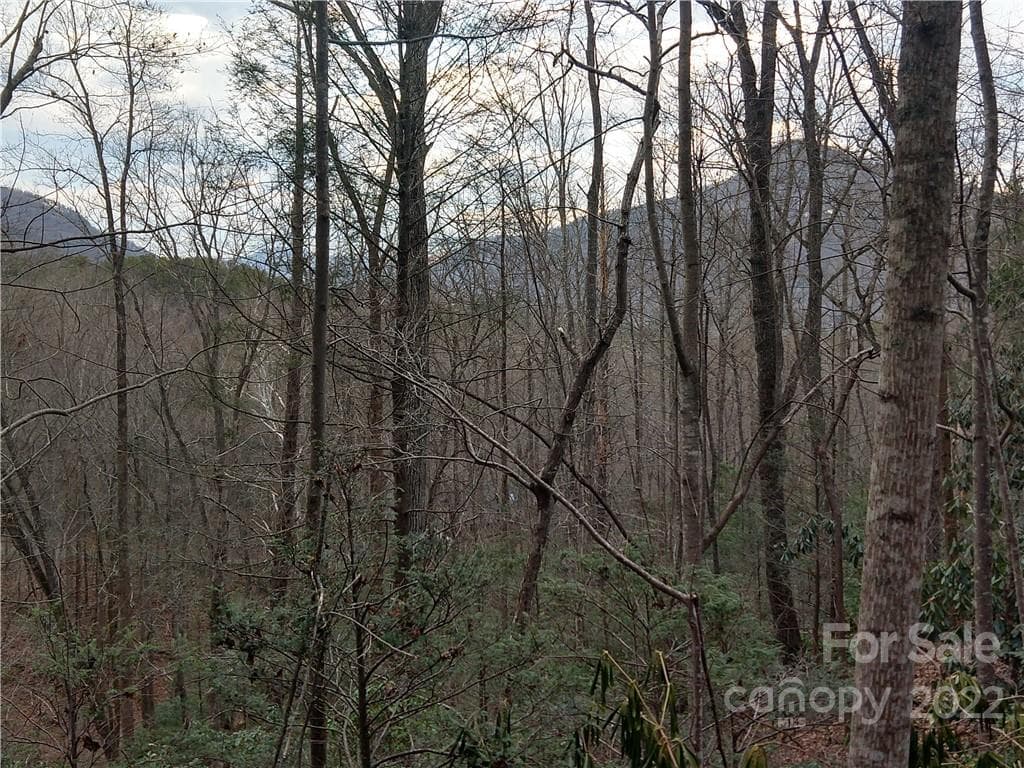 Lot at Lots 94 & 95 Rock Spring Road, Lake Lure, photo 5 of 10