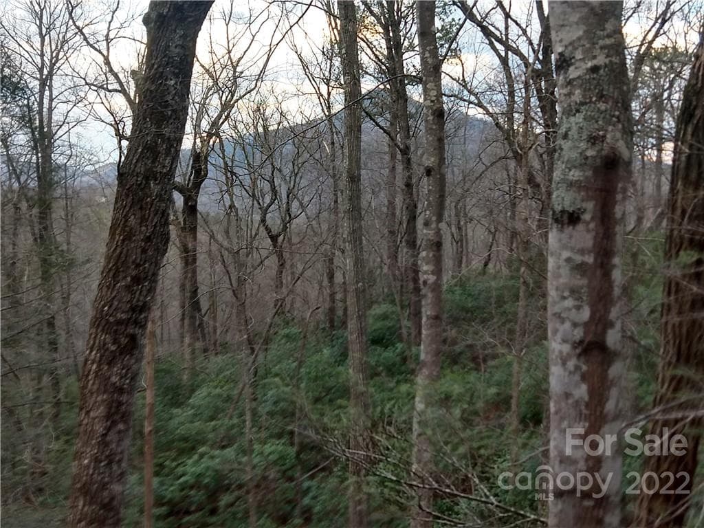 Lot at Lots 94 & 95 Rock Spring Road, Lake Lure, photo 6 of 10