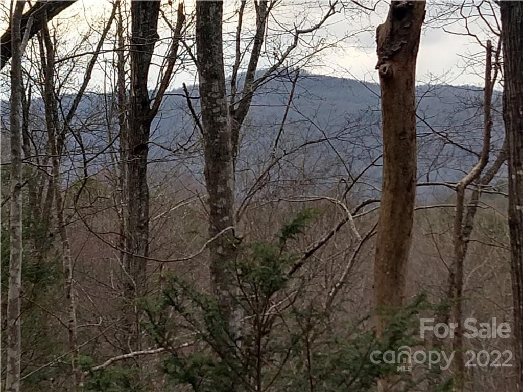 Lot at Lots 94 & 95 Rock Spring Road, Lake Lure, photo 7 of 10