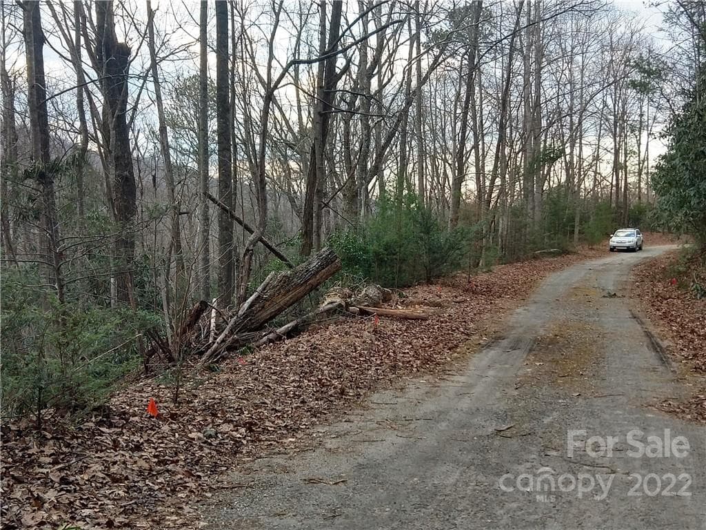 Lot at Lots 94 & 95 Rock Spring Road, Lake Lure, photo 8 of 10