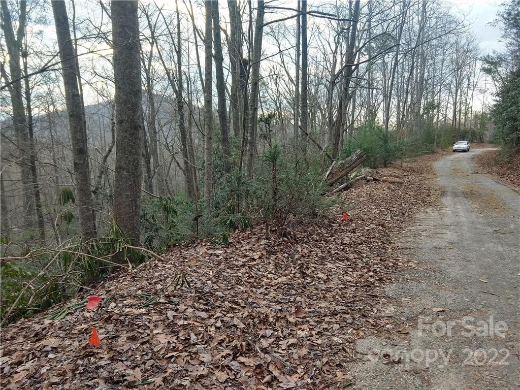 Lot at Lots 94 & 95 Rock Spring Road, Lake Lure, photo 9 of 10