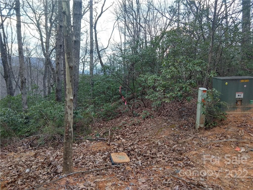 Lot at Lots 94 & 95 Rock Spring Road, Lake Lure, photo 10 of 10
