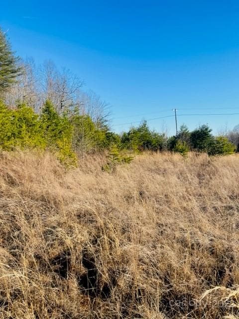 Unimproved Commercial at 3774 Rhoney Farm Road, Vale, photo 2 of 6