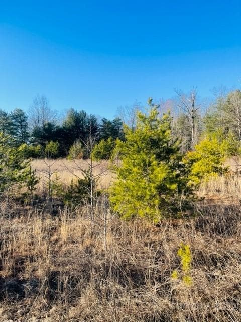 Unimproved Commercial at 3774 Rhoney Farm Road, Vale, photo 4 of 6