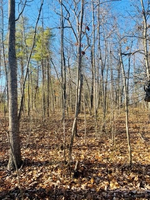 Unimproved Commercial at 3774 Rhoney Farm Road, Vale, photo 5 of 6