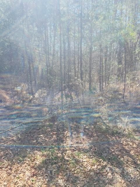 Lot at Hickory, photo 2 of 2
