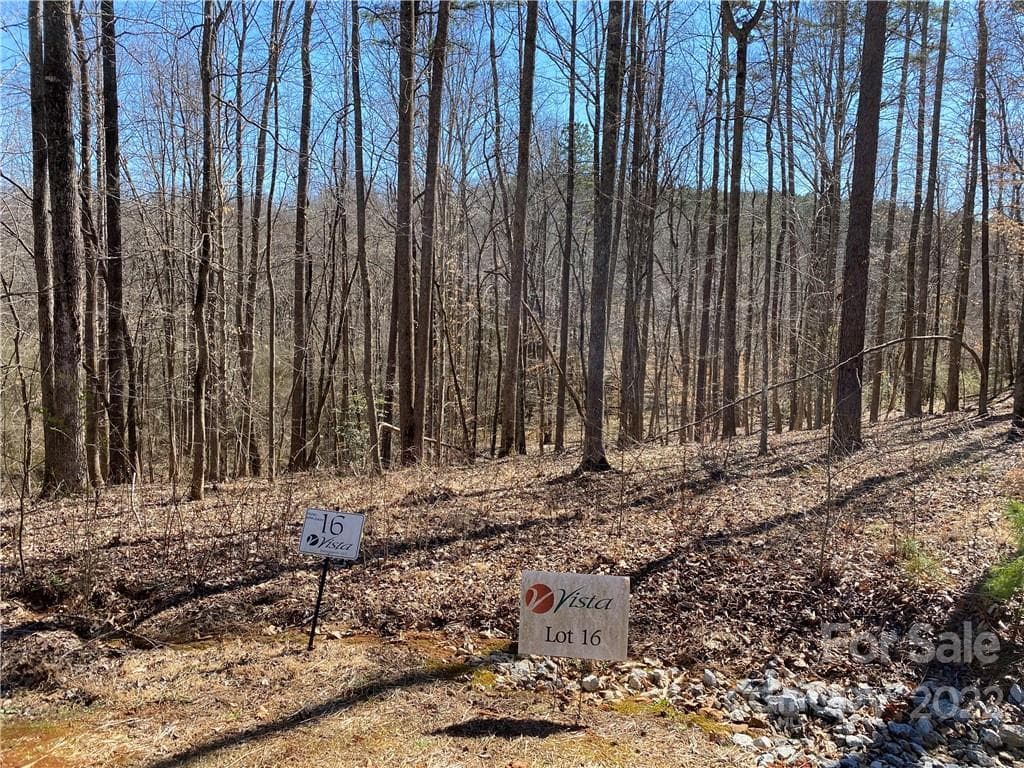 Lot at 000 Rambling Creek Road, Tryon, photo 2 of 11