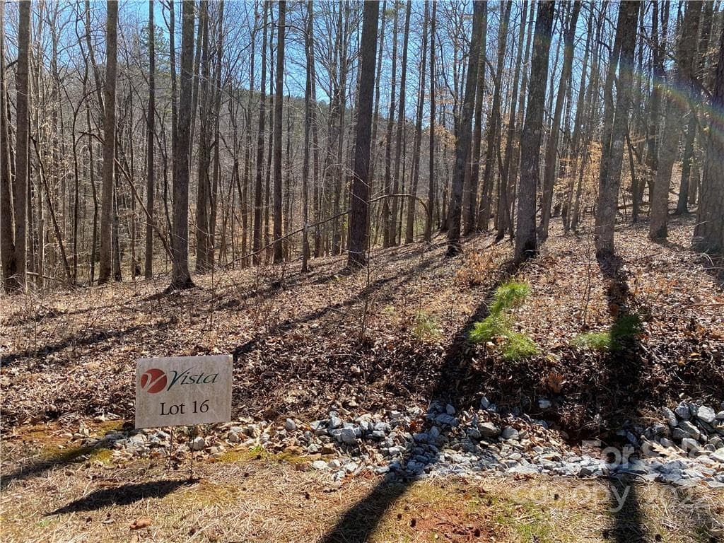 Lot at 000 Rambling Creek Road, Tryon, photo 3 of 11