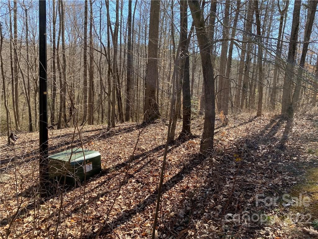 Lot at 000 Rambling Creek Road, Tryon, photo 4 of 11