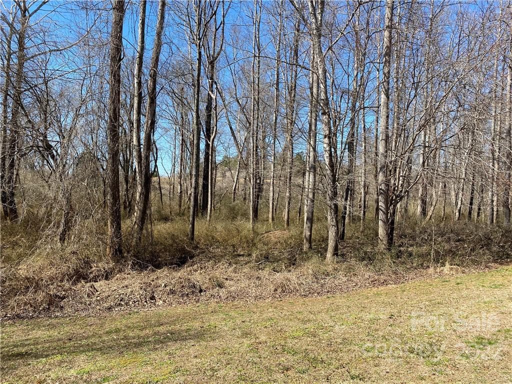 Lot at 000 Bridge Lane, Tryon, photo 3 of 10