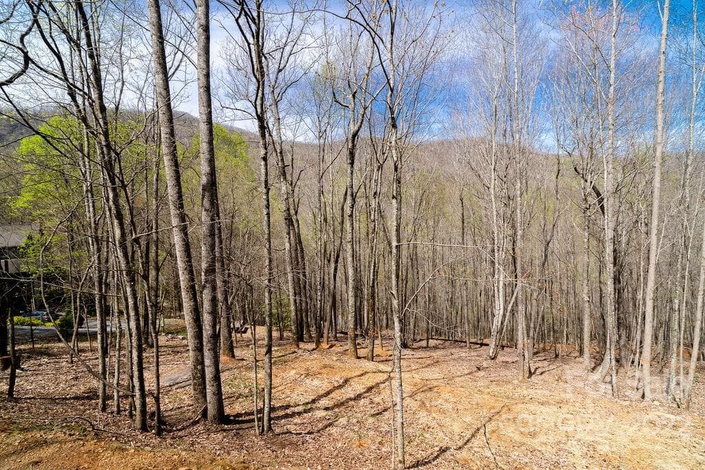 Lot at Arden, photo 4 of 9