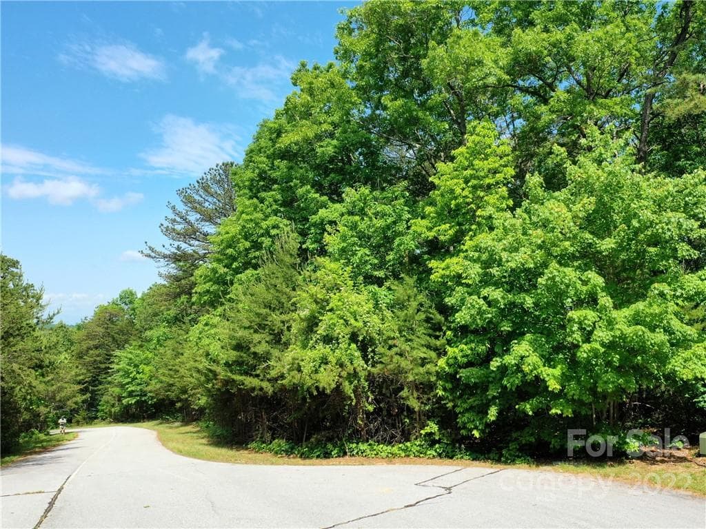 Lot at Mill Spring, photo 5 of 12